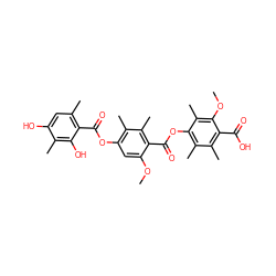 COc1cc(OC(=O)c2c(C)cc(O)c(C)c2O)c(C)c(C)c1C(=O)Oc1c(C)c(C)c(C(=O)O)c(OC)c1C ZINC000001912547