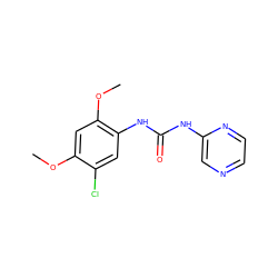 COc1cc(OC)c(NC(=O)Nc2cnccn2)cc1Cl ZINC000043013298