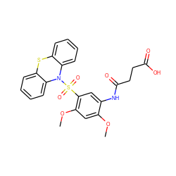 COc1cc(OC)c(S(=O)(=O)N2c3ccccc3Sc3ccccc32)cc1NC(=O)CCC(=O)O ZINC000095563498