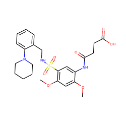 COc1cc(OC)c(S(=O)(=O)NCc2ccccc2N2CCCCC2)cc1NC(=O)CCC(=O)O ZINC000073386198