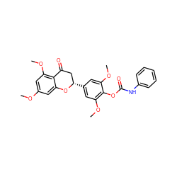 COc1cc(OC)c2c(c1)O[C@@H](c1cc(OC)c(OC(=O)Nc3ccccc3)c(OC)c1)CC2=O ZINC000098085733