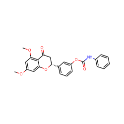 COc1cc(OC)c2c(c1)O[C@@H](c1cccc(OC(=O)Nc3ccccc3)c1)CC2=O ZINC000098085463