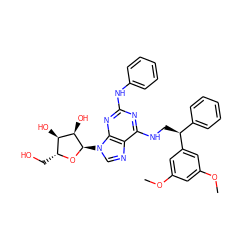 COc1cc(OC)cc([C@@H](CNc2nc(Nc3ccccc3)nc3c2ncn3[C@H]2O[C@H](CO)[C@@H](O)[C@H]2O)c2ccccc2)c1 ZINC000049777616