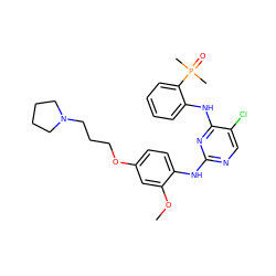 COc1cc(OCCCN2CCCC2)ccc1Nc1ncc(Cl)c(Nc2ccccc2P(C)(C)=O)n1 ZINC000068153003