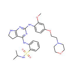 COc1cc(OCCN2CCOCC2)ccc1Nc1nc2c(c(Nc3ccccc3S(=O)(=O)NC(C)C)n1)CCN2 ZINC000221704961