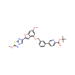 COc1cc(OCc2cccc(-c3ccc(C(=O)OC(C)(C)C)nc3)c2)c2cc(-c3cn4nc(OC)sc4n3)oc2c1 ZINC000205690050