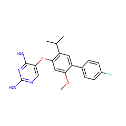 COc1cc(Oc2cnc(N)nc2N)c(C(C)C)cc1-c1ccc(F)cc1 ZINC000040954863