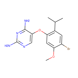 COc1cc(Oc2cnc(N)nc2N)c(C(C)C)cc1Br ZINC000040430617