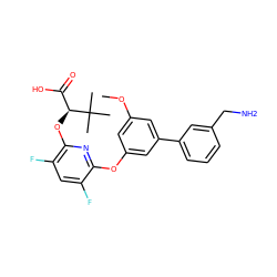 COc1cc(Oc2nc(O[C@@H](C(=O)O)C(C)(C)C)c(F)cc2F)cc(-c2cccc(CN)c2)c1 ZINC000205202807