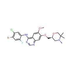 COc1cc2c(Nc3cc(Cl)c(Br)cc3F)ncnc2cc1OC[C@@H]1CN(C)C(C)(C)CO1 ZINC000115600146