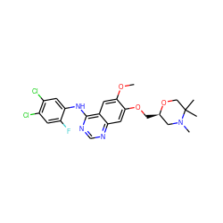 COc1cc2c(Nc3cc(Cl)c(Cl)cc3F)ncnc2cc1OC[C@@H]1CN(C)C(C)(C)CO1 ZINC000114826932