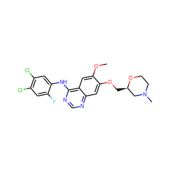 COc1cc2c(Nc3cc(Cl)c(Cl)cc3F)ncnc2cc1OC[C@@H]1CN(C)CCO1 ZINC000115599061