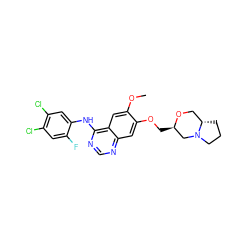 COc1cc2c(Nc3cc(Cl)c(Cl)cc3F)ncnc2cc1OC[C@@H]1CN2CCC[C@H]2CO1 ZINC000114821328