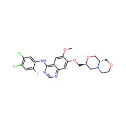 COc1cc2c(Nc3cc(Cl)c(Cl)cc3F)ncnc2cc1OC[C@@H]1CN2CCOC[C@H]2CO1 ZINC000114820712