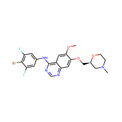 COc1cc2c(Nc3cc(F)c(Br)c(F)c3)ncnc2cc1OC[C@@H]1CN(C)CCO1 ZINC000114821857