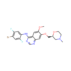 COc1cc2c(Nc3cc(F)c(Br)cc3F)ncnc2cc1OC[C@@H]1CN(C)CCO1 ZINC000114820765