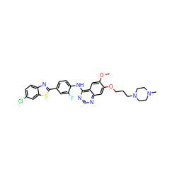 COc1cc2c(Nc3ccc(-c4nc5ccc(Cl)cc5s4)cc3F)ncnc2cc1OCCCN1CCN(C)CC1 ZINC000049756673