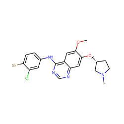 COc1cc2c(Nc3ccc(Br)c(Cl)c3)ncnc2cc1O[C@@H]1CCN(C)C1 ZINC000114821364