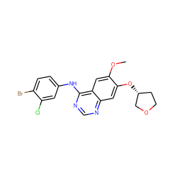 COc1cc2c(Nc3ccc(Br)c(Cl)c3)ncnc2cc1O[C@@H]1CCOC1 ZINC000088367931