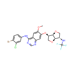 COc1cc2c(Nc3ccc(Br)c(Cl)c3)ncnc2cc1O[C@@H]1CO[C@@H]2[C@@H](NC(F)(F)F)CO[C@H]12 ZINC001772592335