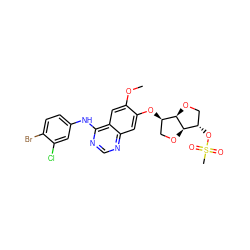 COc1cc2c(Nc3ccc(Br)c(Cl)c3)ncnc2cc1O[C@@H]1CO[C@@H]2[C@@H](OS(C)(=O)=O)CO[C@@H]21 ZINC000211597143