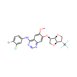 COc1cc2c(Nc3ccc(Br)c(Cl)c3)ncnc2cc1O[C@@H]1CO[C@H]2[C@@H]1OC[C@@H]2C(F)(F)F ZINC001772624648