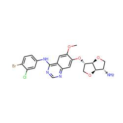 COc1cc2c(Nc3ccc(Br)c(Cl)c3)ncnc2cc1O[C@H]1CO[C@@H]2[C@@H](N)CO[C@H]12 ZINC000117131455