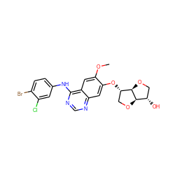 COc1cc2c(Nc3ccc(Br)c(Cl)c3)ncnc2cc1O[C@H]1CO[C@@H]2[C@@H](O)CO[C@H]12 ZINC000117126568