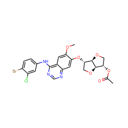 COc1cc2c(Nc3ccc(Br)c(Cl)c3)ncnc2cc1O[C@H]1CO[C@@H]2[C@@H](OC(C)=O)CO[C@H]12 ZINC000117123430