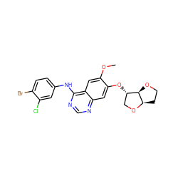 COc1cc2c(Nc3ccc(Br)c(Cl)c3)ncnc2cc1O[C@H]1CO[C@@H]2CCO[C@H]12 ZINC000038577881