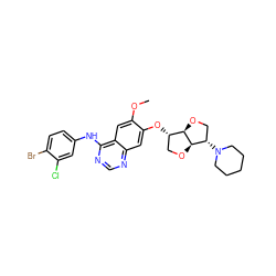 COc1cc2c(Nc3ccc(Br)c(Cl)c3)ncnc2cc1O[C@H]1CO[C@H]2[C@@H]1OC[C@@H]2N1CCCCC1 ZINC000117121417