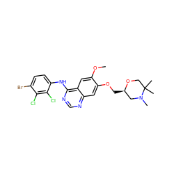 COc1cc2c(Nc3ccc(Br)c(Cl)c3Cl)ncnc2cc1OC[C@@H]1CN(C)C(C)(C)CO1 ZINC000114821974