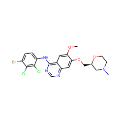 COc1cc2c(Nc3ccc(Br)c(Cl)c3Cl)ncnc2cc1OC[C@@H]1CN(C)CCO1 ZINC000114821262