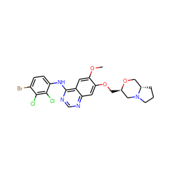 COc1cc2c(Nc3ccc(Br)c(Cl)c3Cl)ncnc2cc1OC[C@@H]1CN2CCC[C@H]2CO1 ZINC000114821103