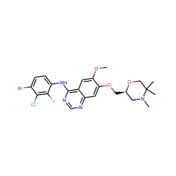 COc1cc2c(Nc3ccc(Br)c(Cl)c3F)ncnc2cc1OC[C@@H]1CN(C)C(C)(C)CO1 ZINC000114821743