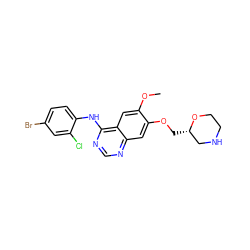 COc1cc2c(Nc3ccc(Br)cc3Cl)ncnc2cc1OC[C@H]1CNCCO1 ZINC000299824405