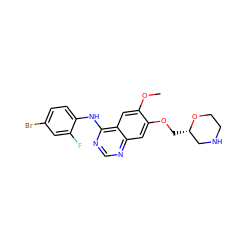 COc1cc2c(Nc3ccc(Br)cc3F)ncnc2cc1OC[C@H]1CNCCO1 ZINC000299825971