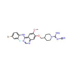 COc1cc2c(Nc3ccc(Br)cc3F)ncnc2cc1OCC1CCN(/C(N)=N/C#N)CC1 ZINC000114821830