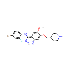 COc1cc2c(Nc3ccc(Br)cc3F)ncnc2cc1OCC1CCN(C)CC1 ZINC000053683345