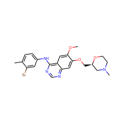 COc1cc2c(Nc3ccc(C)c(Br)c3)ncnc2cc1OC[C@@H]1CN(C)CCO1 ZINC000114822044