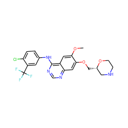 COc1cc2c(Nc3ccc(Cl)c(C(F)(F)F)c3)ncnc2cc1OC[C@H]1CNCCO1 ZINC000299823936