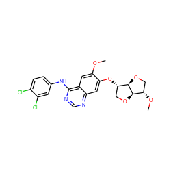 COc1cc2c(Nc3ccc(Cl)c(Cl)c3)ncnc2cc1O[C@H]1CO[C@@H]2[C@@H](OC)CO[C@H]12 ZINC000038803030