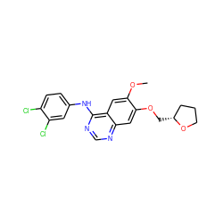 COc1cc2c(Nc3ccc(Cl)c(Cl)c3)ncnc2cc1OC[C@@H]1CCCO1 ZINC000114820891