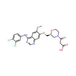 COc1cc2c(Nc3ccc(Cl)c(Cl)c3)ncnc2cc1OC[C@@H]1CN(C(=O)CC(=O)O)CCO1 ZINC000114820949