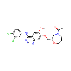 COc1cc2c(Nc3ccc(Cl)c(Cl)c3)ncnc2cc1OC[C@@H]1CN(C(C)=O)CCCO1 ZINC000114822125