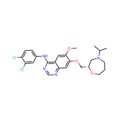 COc1cc2c(Nc3ccc(Cl)c(Cl)c3)ncnc2cc1OC[C@@H]1CN(C(C)C)CCCO1 ZINC000114820661