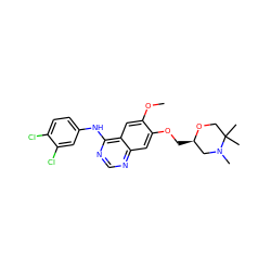 COc1cc2c(Nc3ccc(Cl)c(Cl)c3)ncnc2cc1OC[C@@H]1CN(C)C(C)(C)CO1 ZINC000114821289