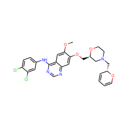 COc1cc2c(Nc3ccc(Cl)c(Cl)c3)ncnc2cc1OC[C@@H]1CN(C[C@H]2C=CC=CO2)CCO1 ZINC001772604859