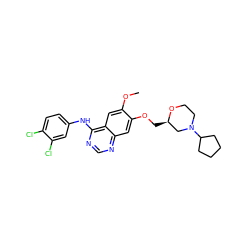 COc1cc2c(Nc3ccc(Cl)c(Cl)c3)ncnc2cc1OC[C@@H]1CN(C2CCCC2)CCO1 ZINC000008662771