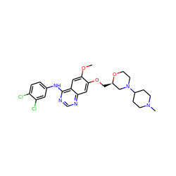 COc1cc2c(Nc3ccc(Cl)c(Cl)c3)ncnc2cc1OC[C@@H]1CN(C2CCN(C)CC2)CCO1 ZINC000114821691